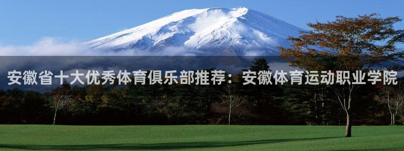 意昂33代理