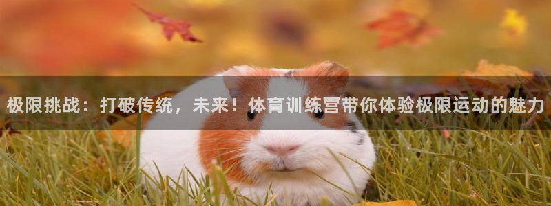 意昂3体育平台总代理