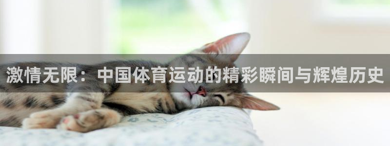 意昂3体育代理申请流程