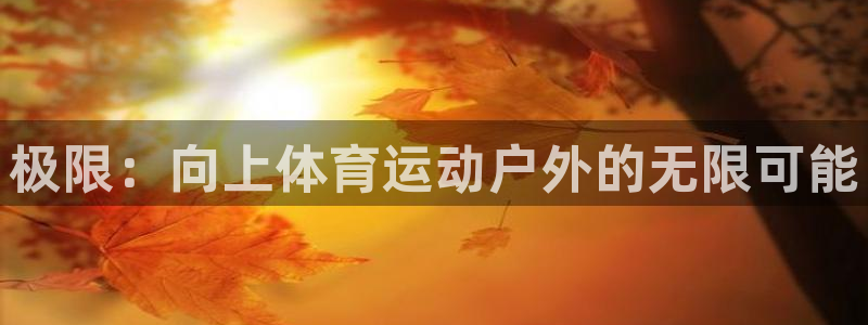 意昂3体育凯捷平台主管