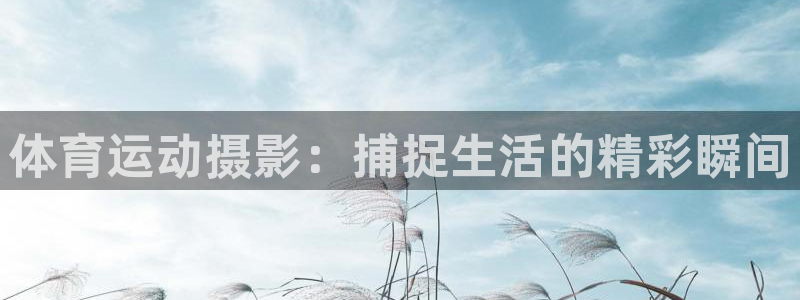 意昂3体育官网