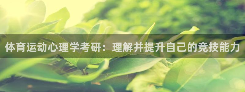 意昂3体育老板是谁