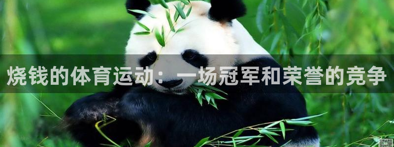 意昂3凯捷平台注册链接