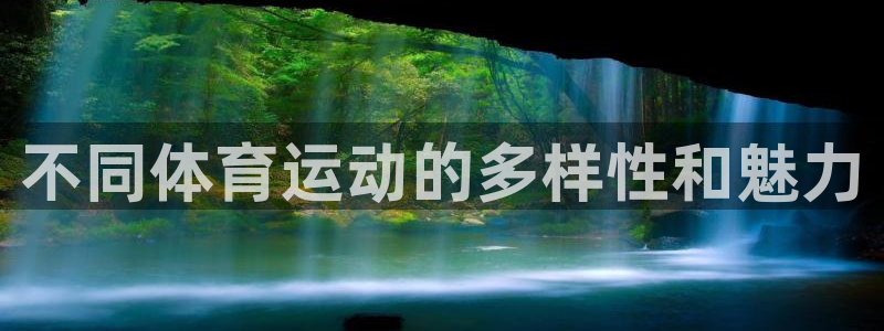 上海意昂3汽车电子有限公司