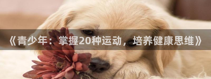 意昂33官网