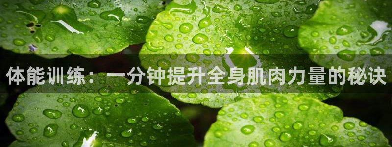 意昂3体育3