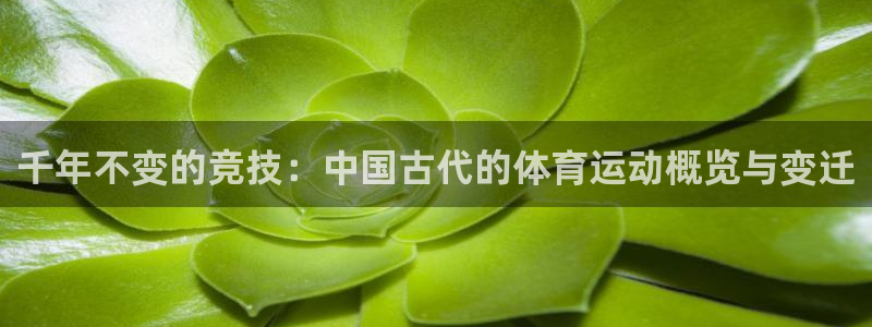 意昂3体育游戏