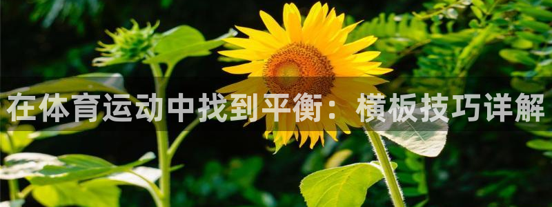 意昂3平台