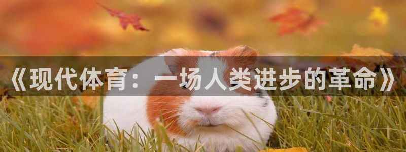 意昂3招商
