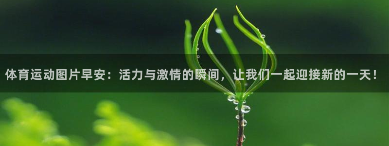 意昂3体育注册登录入口