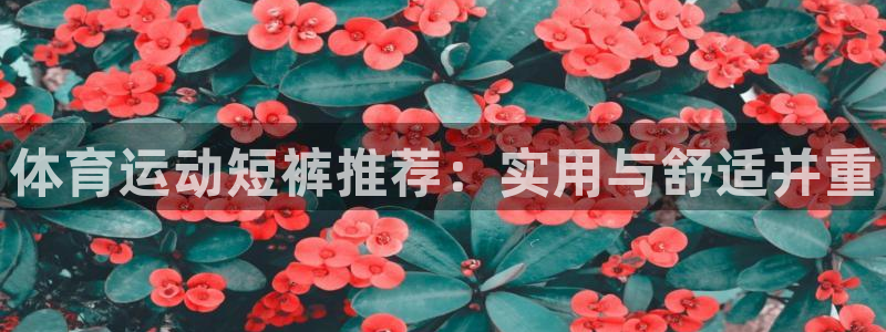 意昂32登录