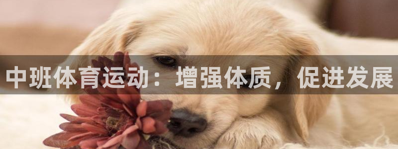 意昂3体育官网注册