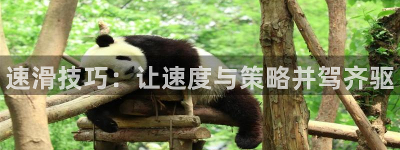 意昂3官网登录