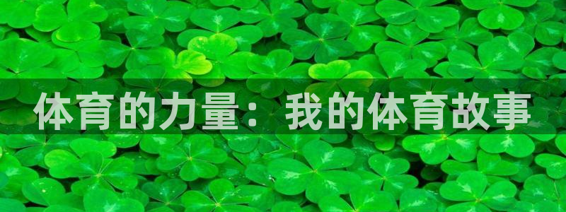 意昂3体育3在线注册
